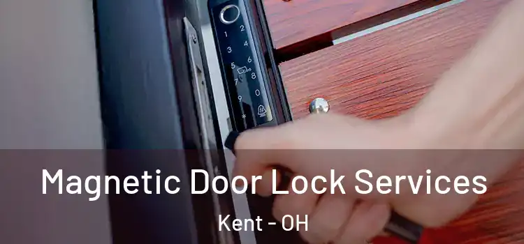 Magnetic Door Lock Services Kent - OH